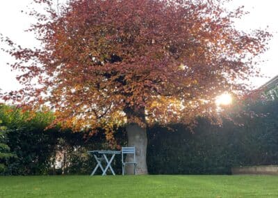 north ace electrics ratedpeople gallery 019